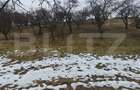 Teren intravilan în Mihai Viteazu, langa Turda, 2 parcele disponibile - 4