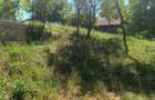 0 Comision Teren 1760 mp cu casa-Corusu, com Baciu, intravilan - 9