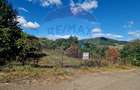 Teren 2,000mp Piatra-Neamt / Strada Pietrelor - 25