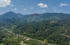 TTeren intravilan, 3500 mp, Dâmbu Morii - 10