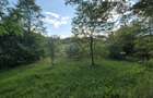 Teren intravilan 1201 mp – Curtea de Arges, Strada Haiducesti - 1