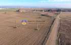 Teren investiție intravilan 3600 mp – Dumbrava Roșie - 3
