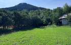 Vânzare teren intravilan lângă Piatra  Neamt - 1