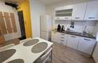 TAKE IONESCU, Apartament 2 camere RENOVAT, parter, clima - 9