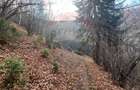 Teren Colinar Panoramic – 17.684 mp în Scheii Brașovului - 13