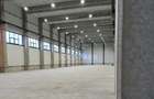 Spatiu Industrial-Mihai Viteazu/Zona Autostrazii A3-Constructie Noua - 13