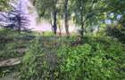 Casă gata de mutat la 20 de minute de București  -  satul Câmpurelu - 42