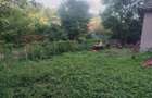 Casa  + Teren 4000 mp Urseiu - Dâmbovița 0% COMISION - 1