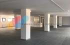 Spații comerciale | Vitrine stradale | Open-space | zona Corneliu Coposu - 7