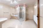 Spatiu comercial P+E+M - 741 mp, Zona centrala, Brasov - 14