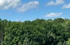 Duplex 4 camere la padure, imobil boutique, 1950 EUR plus TVA - 12