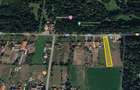 Teren intravilan construibil 1.136 mp în Bazoșu Nou (lângă Parcul Dendrologic) - 1