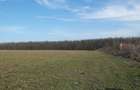 GANEASA, langa lac, padure si vile, 1075 mp. teren construibil - 6