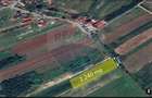 1.500 eur/ar - TEREN INTRAVILAN in Lapusel - 1