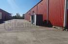 Spatii industriale_Bucuresti-Nord_Stefanestii de Jos - 10