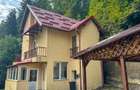 Casă de vacanță, P+E, teren 500mp, foișor cu grătar, Sinaia - 1