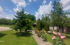 Snagov- Gruiu- Santul Floresti -Proprietate cu stil pentru oameni gospodari! - 43