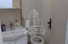 Apartament cu 2 camere de vanzare, etaj 1, zona Sagului, Timisoara - 10