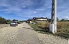 Teren casa 700 mp la Asfalt aproape de Centrul orasului Magurele - 5