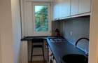 Apartament Piata Victoriei // Veronica Micle - 5