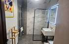 Apartament doua camere Centru - UMF - 5