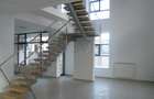 REC0000626 Spatiu showroom PARTER si MEZANIN - 2