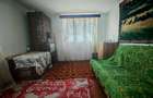 Casa + teren 3233 mp Darmanești Arges - 15
