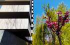 Cortina Academy |  2 camere  |  High - end |  Ready to Move | - 1