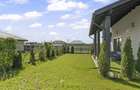 BALOTESTI – COMPLEX ZORI DE ZI - CASA SINGLE 120 MP, 500 MP LOT! - 19