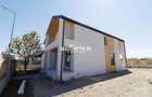 Casa Sanpetru - 5