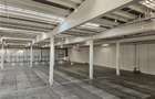 Spatii Industriale - 10000 mp - Logistica - Productie - Depozitare - Distributie - 1