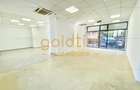 SPATIU COMERCIAL/SHOWROOM/PARCARE/VICTORIEI - 17