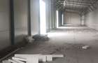 Hala noua 600 mp Giurgiului ( Progresul ) - 6
