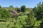 Casa din lemon cu teren in Uileacu de Munte - 8