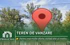 Teren intravilan zona Vadu Pasii BZ 4.000mp d=20m drum asfaltat utilitati Pret: - 1