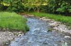 Teren Intravilan 12000 mp, Cascada Urlatoarea, proiect aprobat pentru Resort, la - 8