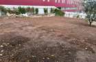 Teren de 539 mp , intravilan , GRUIA - 3
