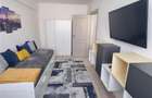 Apartament 1 camera Bucium 330 euro - 5