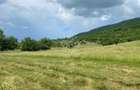 Teren 7200 mp-parcelabil-investitie-Sieu Magherus la 16 km de Bistrita - 8
