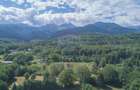 Casă de vacanță la poalele Munților Făgăraș | Teren 8.000 mp | - 6