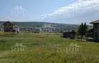 Teren intravilan 4600 mp cu front de 25 m pe strada Odobesti - 6