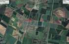 Vindem locuri de casa 540 sau 640mp in Zimand Cuz 7 km de Arad - 13