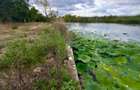 Teren 1000mp deschidere 25m Lac Snagov | 2 deschideri | - 18