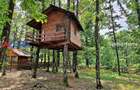 Casă de vacanță în pădure, 10 km de Pitești - Babana - 6
