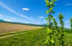 Unitate investitionala: 47.577 mp, Codlea .-. Ghimbav, acces facil, ariere remar - 6