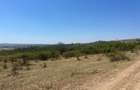 RECO Teren extravilan Holod 27400 mp - 6