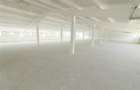 Hala 410 mp, renovata complet, Tomesti - zona industriala - 2