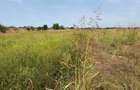 Teren intravilan, 4.508 mp, dublă deschidere, zona Malu Mare - 2