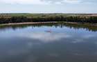 Vanzare Teren  Peris  Lac - 4