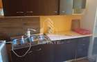 Casa individuala in Cruceni ,la granita cu Serbia - 2